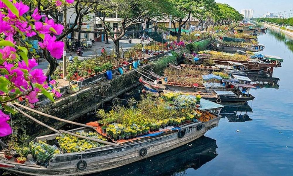 new-year-2026-vietnam-travel-guide
